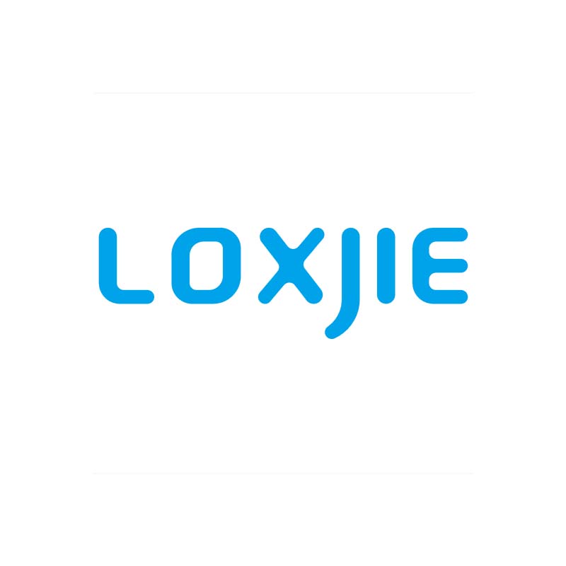 Loxjie audio Power AMP