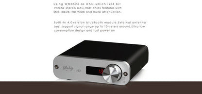 [Slightly defective Special offer]Sabaj Digital Bluetooth Amplifier A2 Portable Audio Amp Class D - Hifi-express